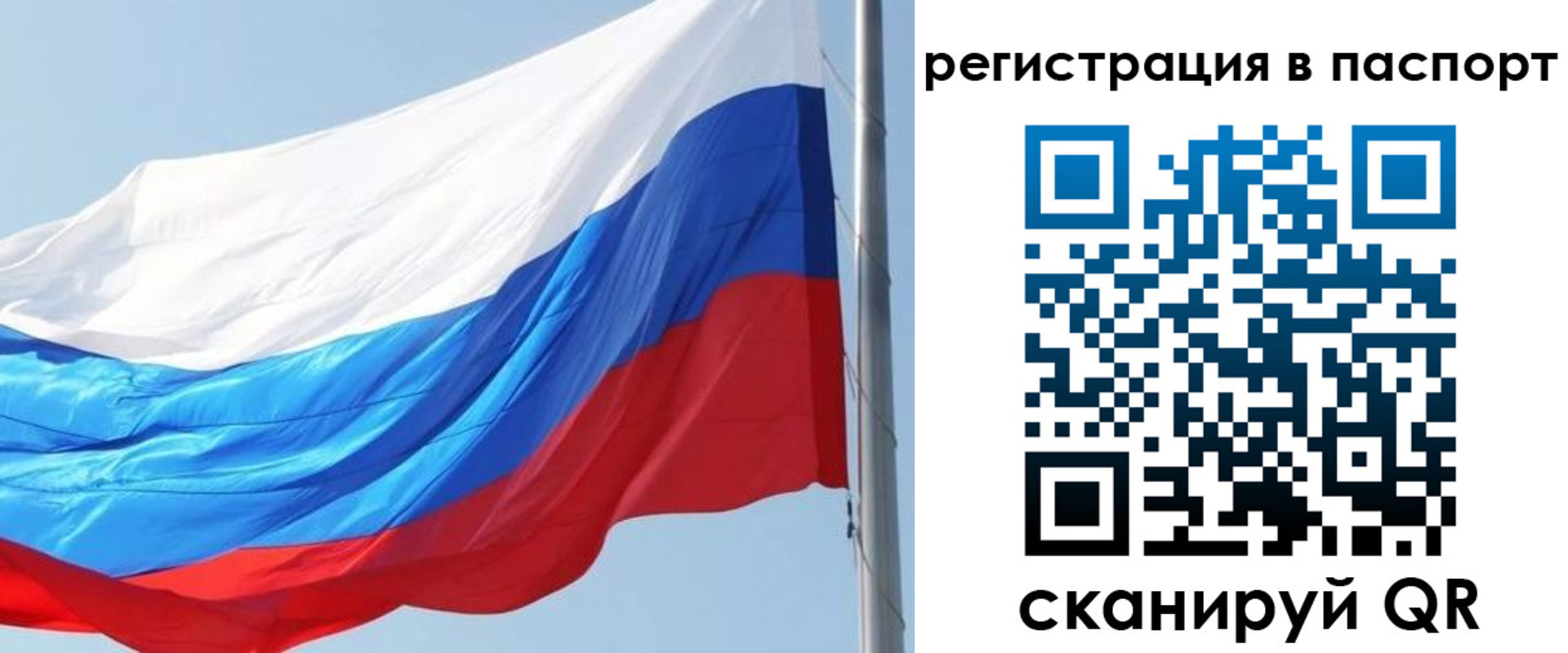 прописка законно в Заполярном